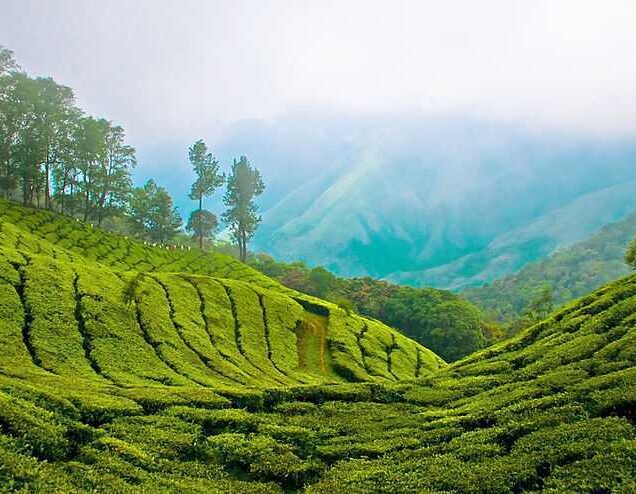 Munnar